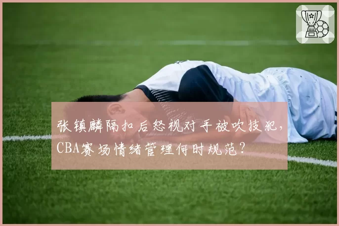 张镇麟隔扣后怒视对手被吹技犯，CBA赛场情绪管理何时规范？