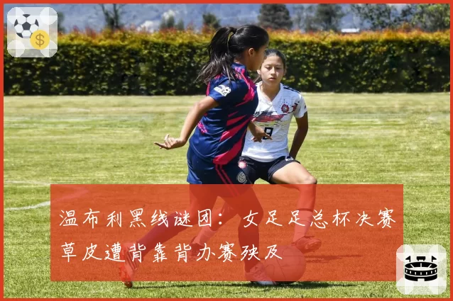 温布利黑线谜团:女足足总杯决赛草皮遭背靠背办赛殃及