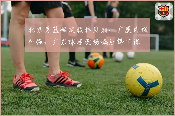 北京男篮确定裁掉贝利，广厦内线补强，广东球迷现场喊杜锋下课